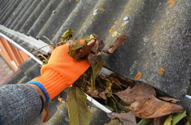 Commercial Roof Gutter Cleaning Tampa FL