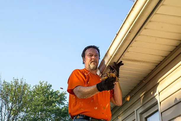 gutter cleaning
