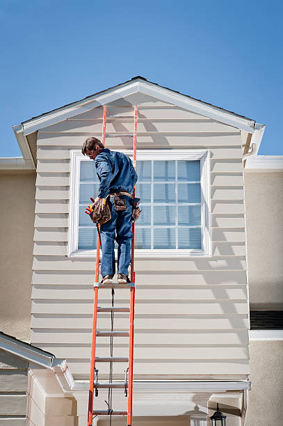 gutter maintenance tampa