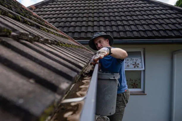 gutter cleaning tampa fl