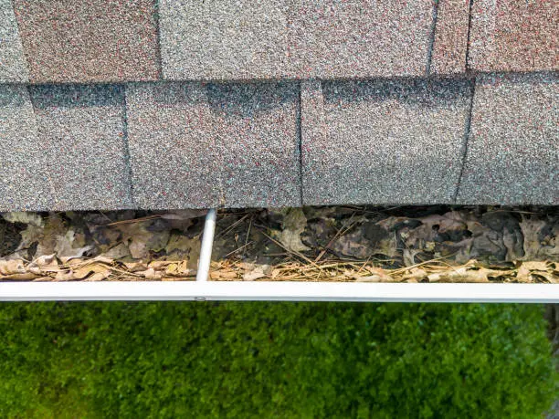 need gutter cleaning tampa florida