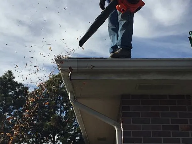 same day tampa gutter cleaning services