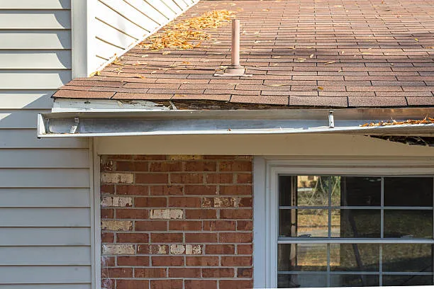 What Causes Storm Damage to Gutters in Tampa?